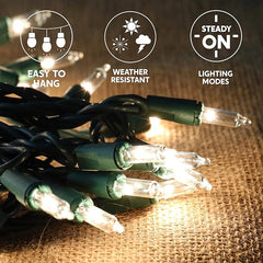 Christmas Lights Outdoor, 100 Count 21.5FT Christmas Tree Lights